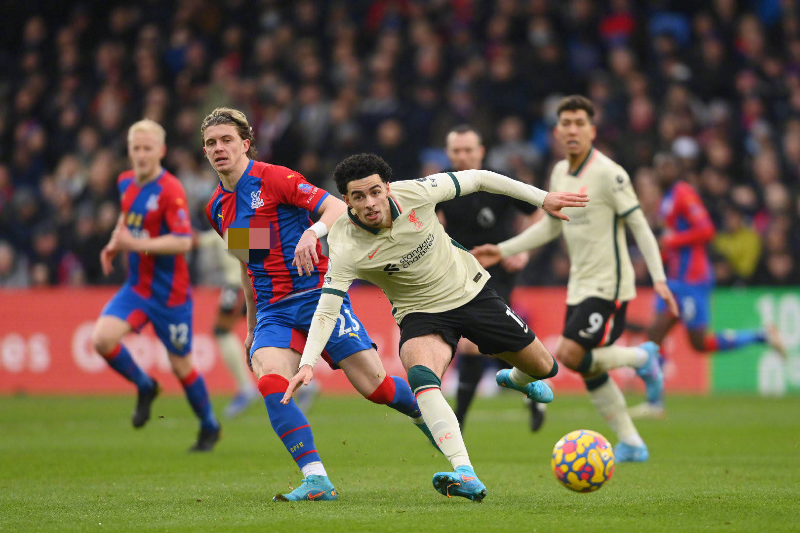 淋漓尽致的 淋漓尽致的